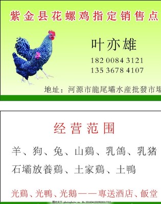 鸡子名片,个人名片 公司名片 名片模板 名片素材 广告-图行天下图库